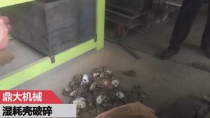 ��Ě�����